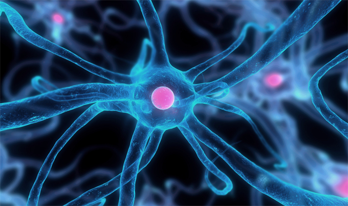 重磅！国家卫健委办公厅发布《体细胞治疗临床研究和转化应用管理办法（试行）（征求意见稿）》，有效果备案后可收费