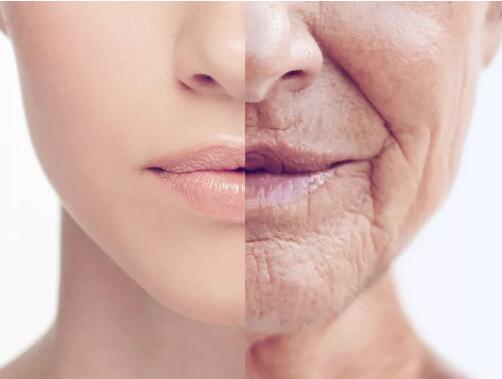 二甲双胍被捧为抗衰老“神药”，是否有科学依据？