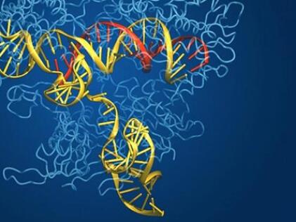 从专利之争到商业之争，CRISPR大神的基因编辑企业布局盘点