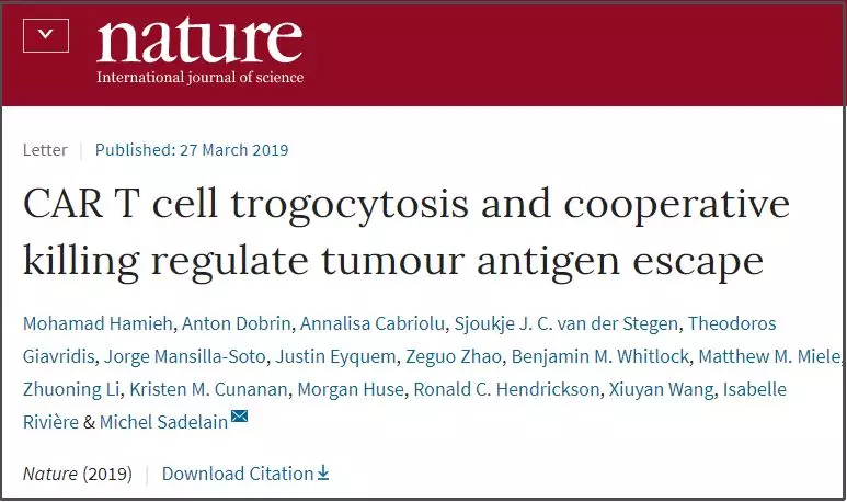 《自然》重磅：破解CAR-T疗法缺陷，这种作用是关键！