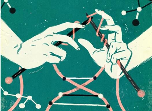 遗传学大师George Church的“疯狂尝试”：对细胞进行了超13,000次的CRISPR编辑