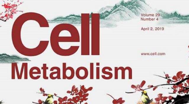 中国水墨画飞上《细胞》子刊封面，意指上海科研人员发现白血病细胞命运新规律