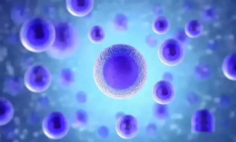 科学家称“任何细胞都可以是干细胞”