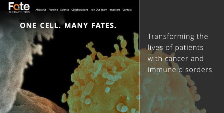 全球首个“现货”iPS衍生NK免疫疗法治疗实体瘤进入临床试验