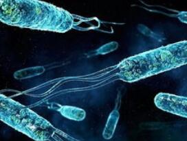 胃癌：男性发病率是女性2倍，中国死亡病例占全球45％