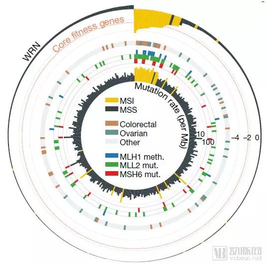 Nature重量级成果：1篇论文，揭秘628个抗癌药物靶点（附详细清单）