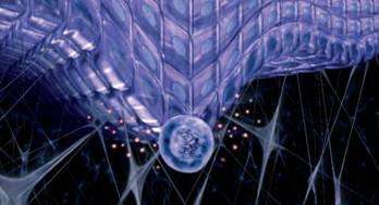 为了让你更年轻，表皮干细胞上演“C位”争夺战