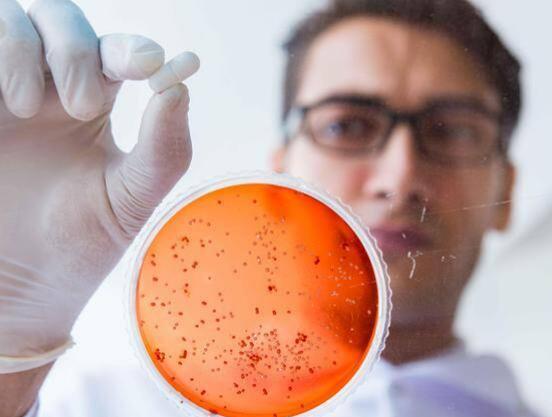 “超级真菌”肆虐全球，到底是谁的锅？