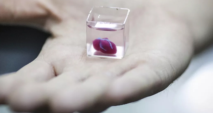 世界首个人体组织3D打印心脏问世，将来有望移植人体