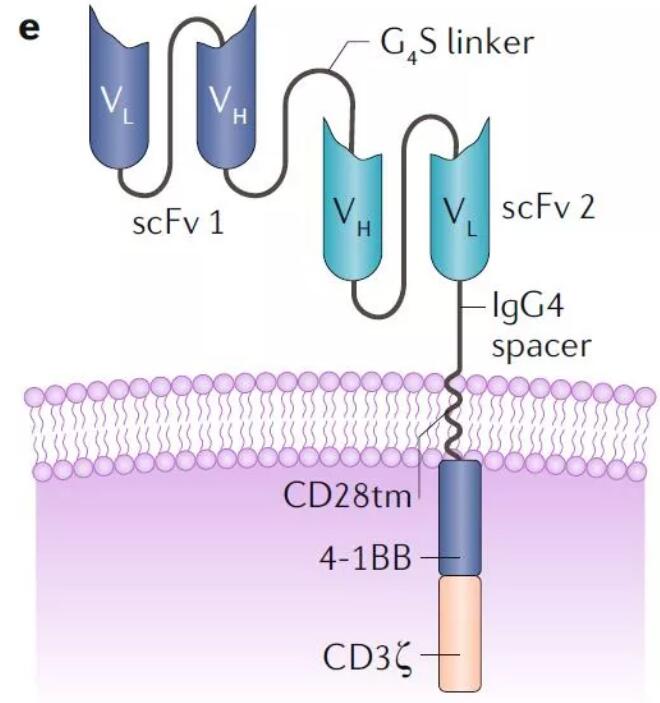 Nature综述：克服三大挑战，新一代“智能”CAR-T疗法装了哪些武器？