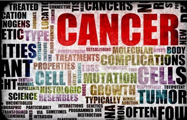 哀悼乳房时，人类为它寻找过什么“灵药”？