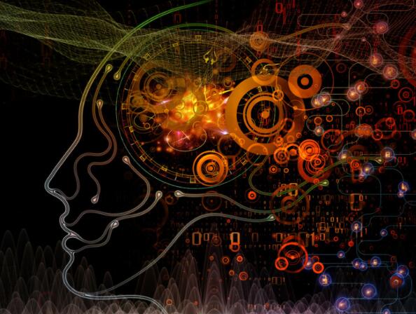 起死回生？死亡4小时后，科学家恢复了它大脑的部分细胞功能