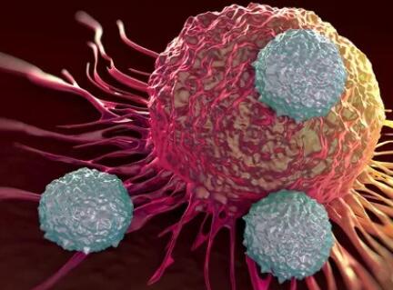 预测癌症免疫疗法效果，除了PD-L1还需要哪些生物标志物？