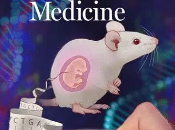 《科学》子刊：避免伦理争议？CRISPR在子宫里矫正胚胎的致命基因突变