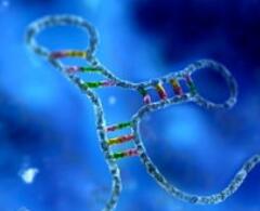 靶向RNA的小分子药物，主要研发原则全在这里了！