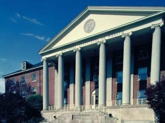 美国国立卫生研究院与制药业在共生系统的各自角色