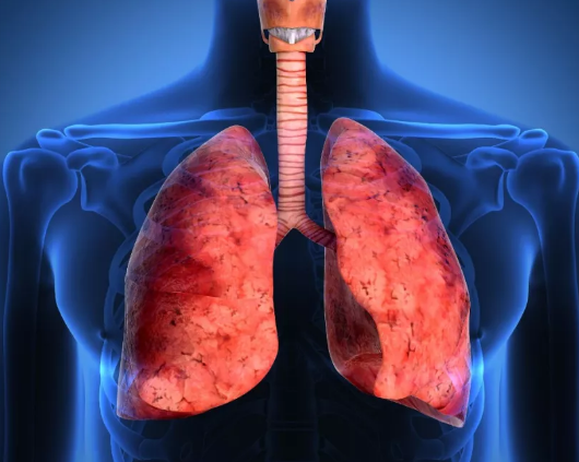 强生最新研究：肺癌与免疫系统还有这层关系？