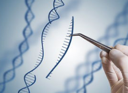 比尔盖茨：为什么基因编辑和人工智能一样值得关注？