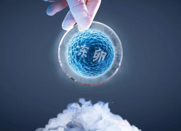 冻卵人