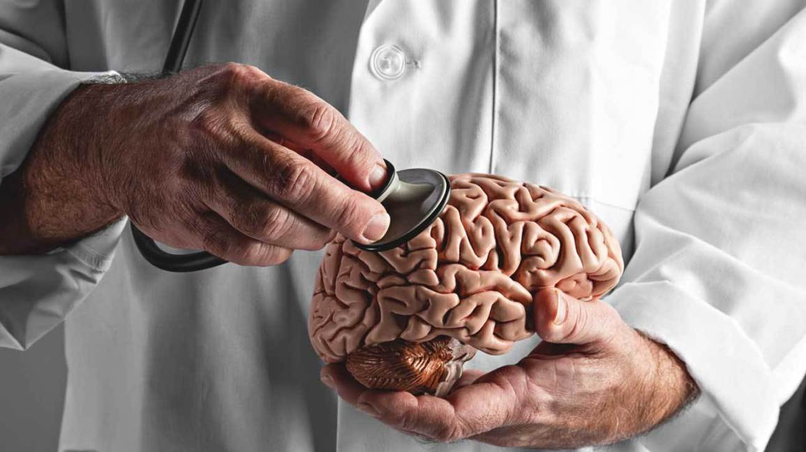 脑的死亡到底是什么？