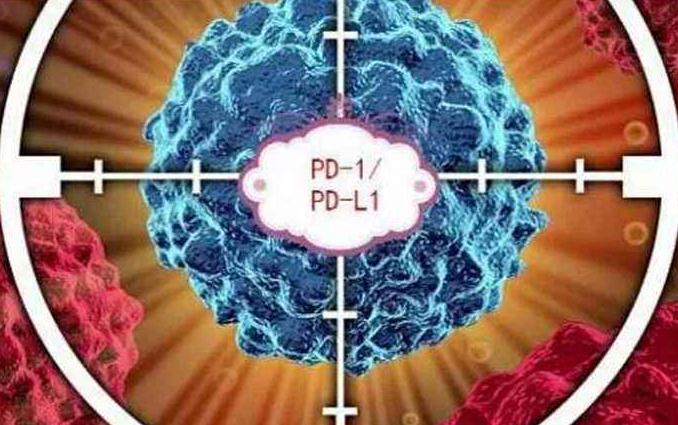 癌症治疗“组合拳”时代来临，免疫治疗大放异彩