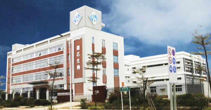 微芯生物赴上交所科创板上市，招股书透漏了哪些秘密？