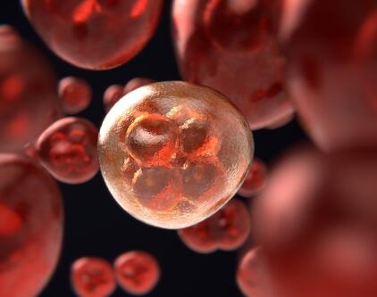 干细胞治疗心脏病，靠不靠谱？国外造假对我国研究有何影响