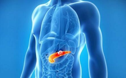 西班牙科学家通过转基因技术消除小鼠胰腺癌细胞