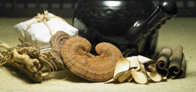 中国中药品牌在崛起