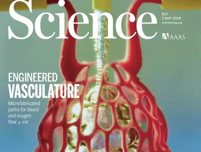 美科学家“造”出人类血管网络，3D打印可植入器官迎来大突破