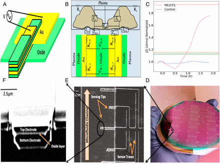 斯坦福大学新血液检测方法可诊断慢性疲劳综合症