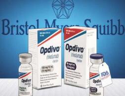 O药一线治疗胶质母细胞瘤3期临床失败 销量不及K药成定局？