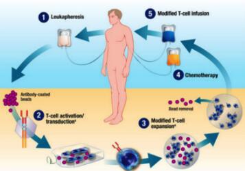 中国2010～2019年细胞治疗里程碑政策大盘点