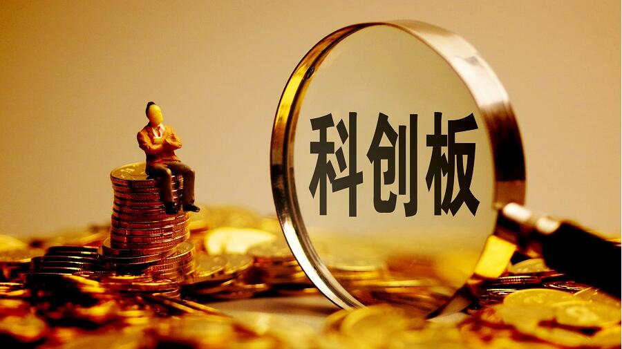 复旦张江上市申请获受理，冲击H+科创板