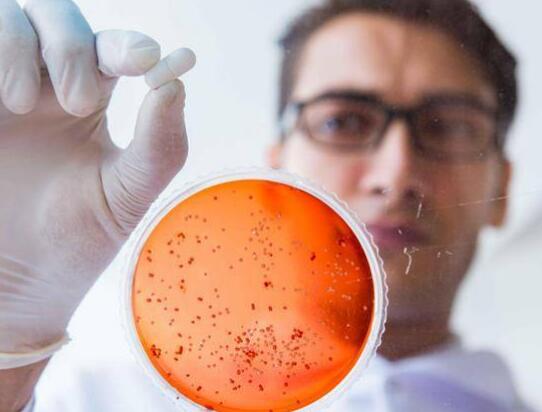 基因检测蓝海：微生物基因检测产业简析