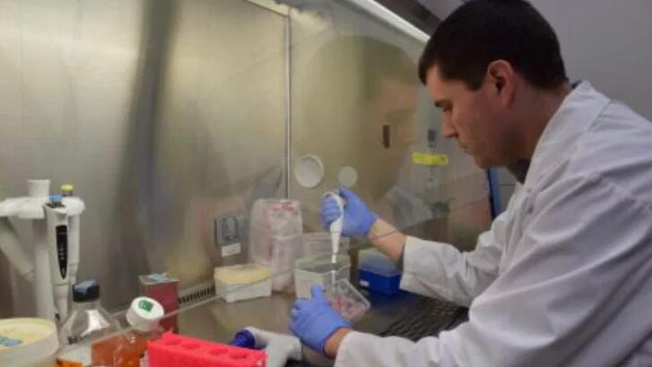 印度合成新型化合物可杀死癌细胞