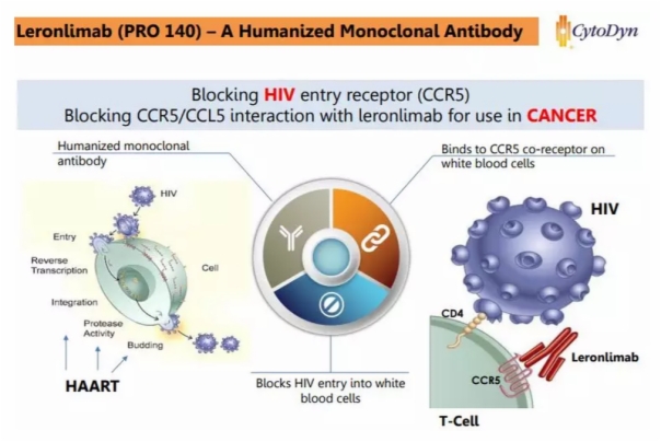 单抗界的板蓝根？继HIV、乳腺癌后 leronlimab向NASH发起挑战！