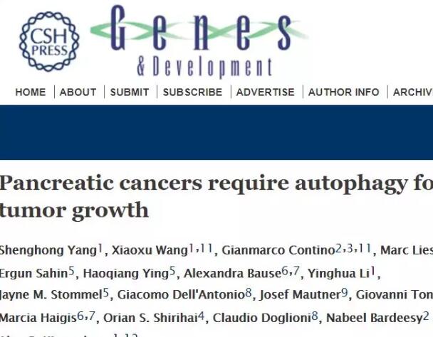 这个诺奖级发现，正在为攻克“癌症之王”提供新武器