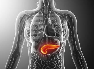 我国临床研究 找到危重型胰腺炎致死“密码”
