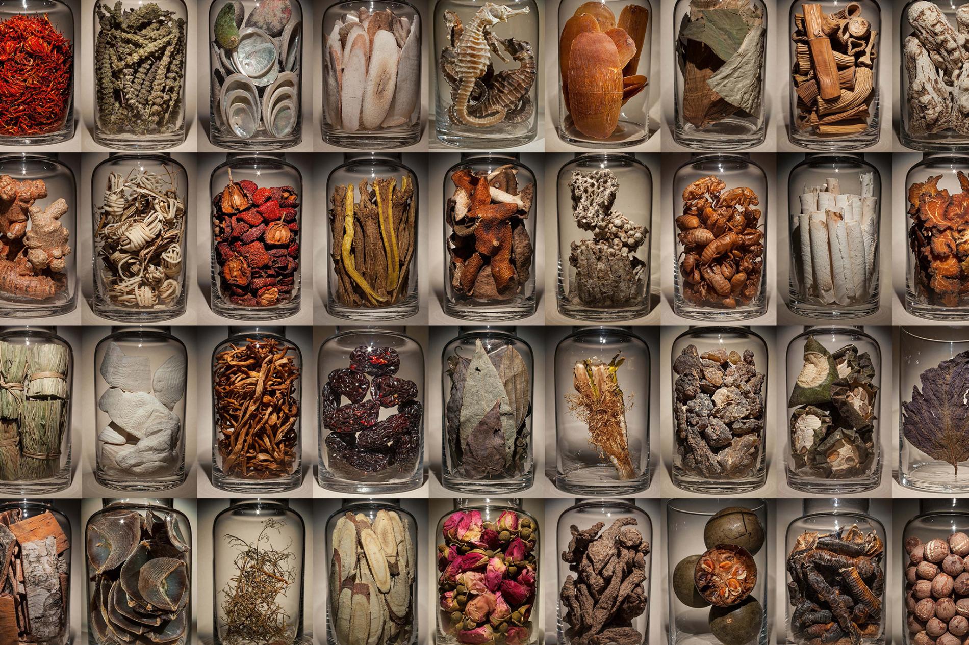 政策解读丨《进口药材管理办法》十一问