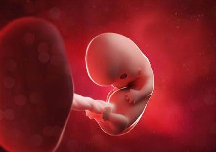 一文读懂先兆流产的诊断与治疗