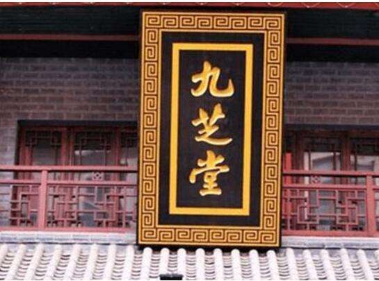 九芝堂靠什么“回血”？利润暴跌超五成，中药注射剂前路未卜