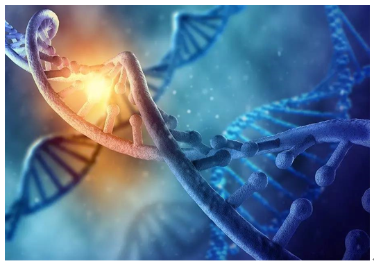 罗沙司他心血管安全性获权威数据验证，百亿美元EPO市场受冲击！