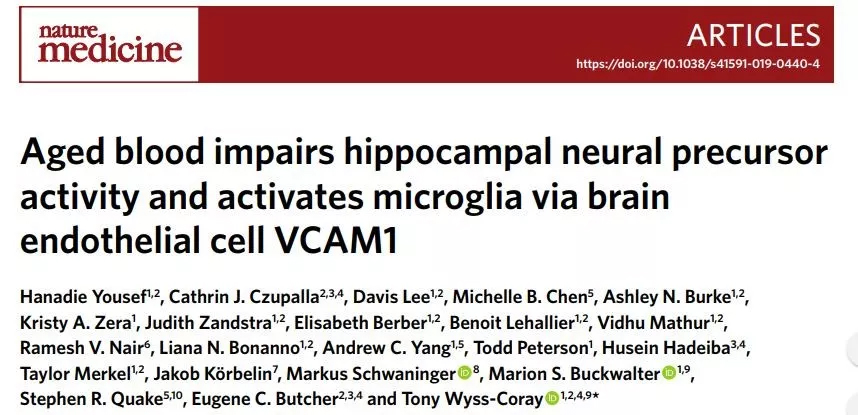 阻挡衰老，斯坦福科学家找到让大脑“重返青春”的关键蛋白