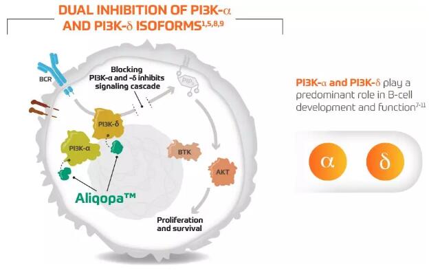 拜耳PI3K抑制剂获FDA突破性疗法认定，治疗淋巴瘤