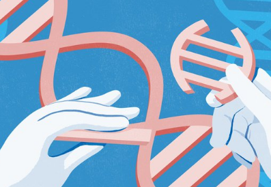 美众议院拨款小组提议取消基因编辑婴儿禁令，该草案仍存变数