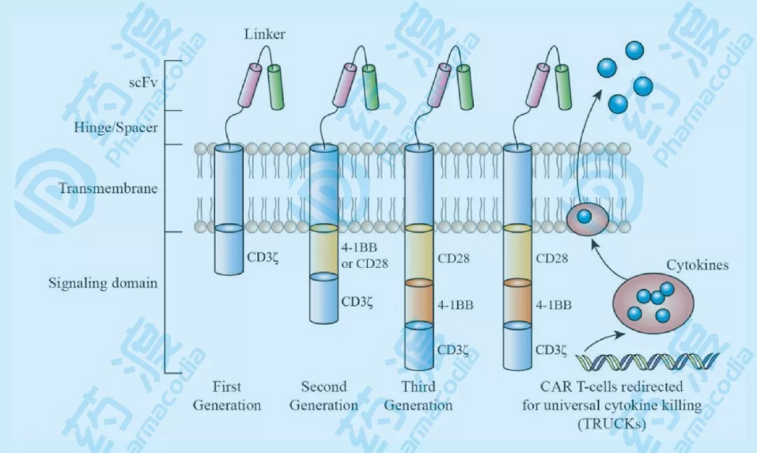 Car-T细胞治疗市场分析及未来发展趋势