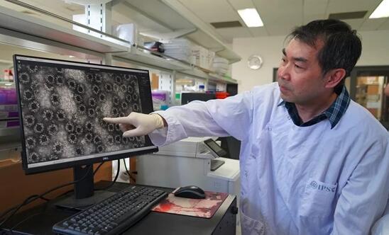 国际首个诺如病毒四价疫苗获批进入临床研究