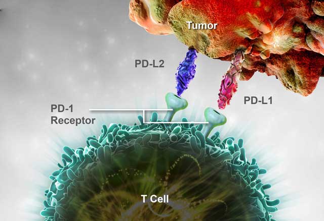 4款国产PD-1临床研究数据一览