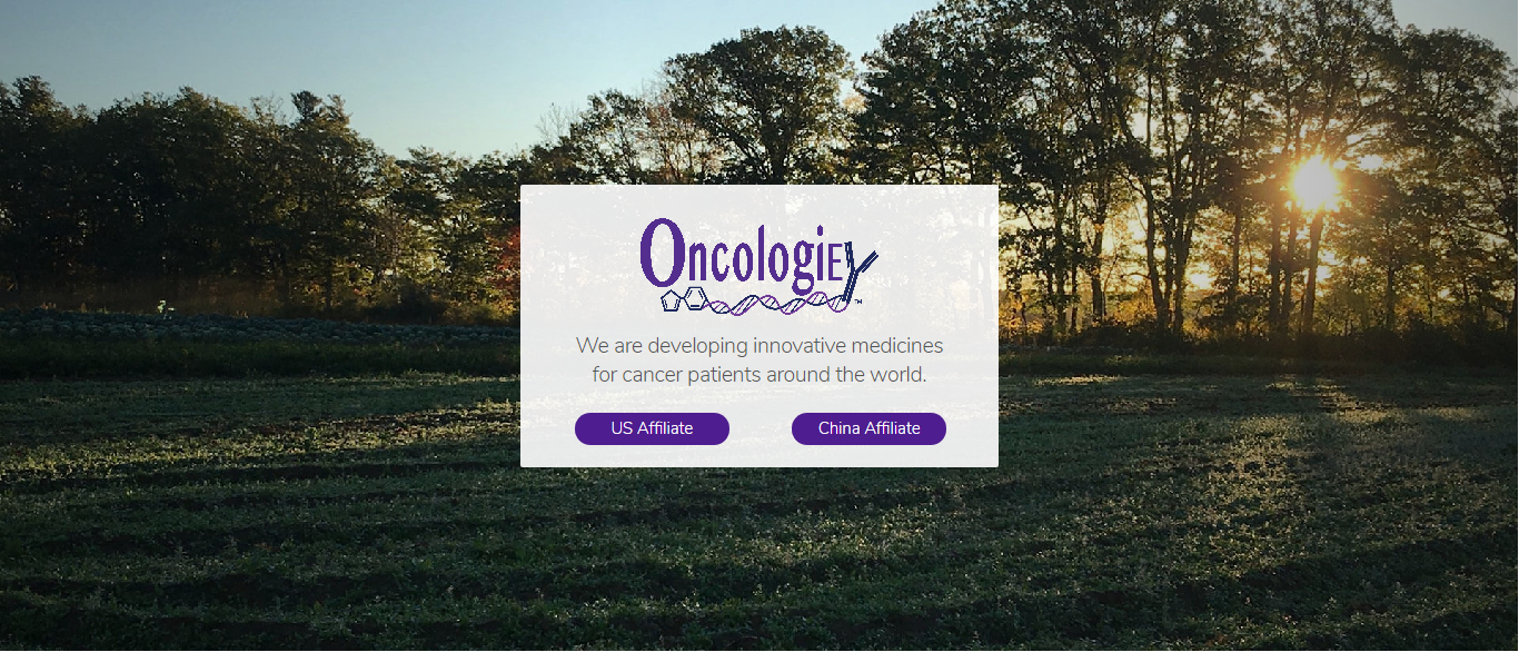 鼎航医药获8000万美元B轮融资，专注全球肿瘤免疫联合疗法